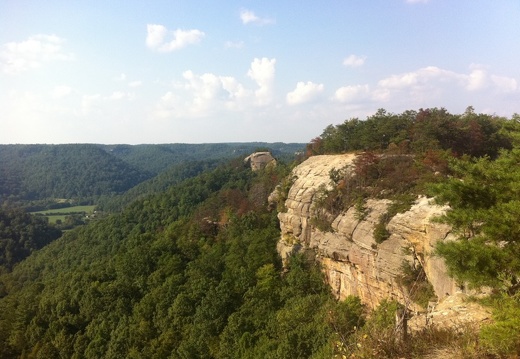 Auxier Ridge, a year after the fire